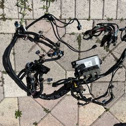 OptiMaxx 3.0 OptiMaxx 3.0 out porch