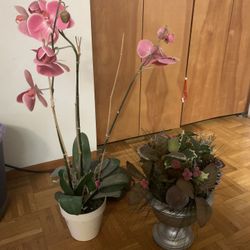 Artificial Irises and Decoration