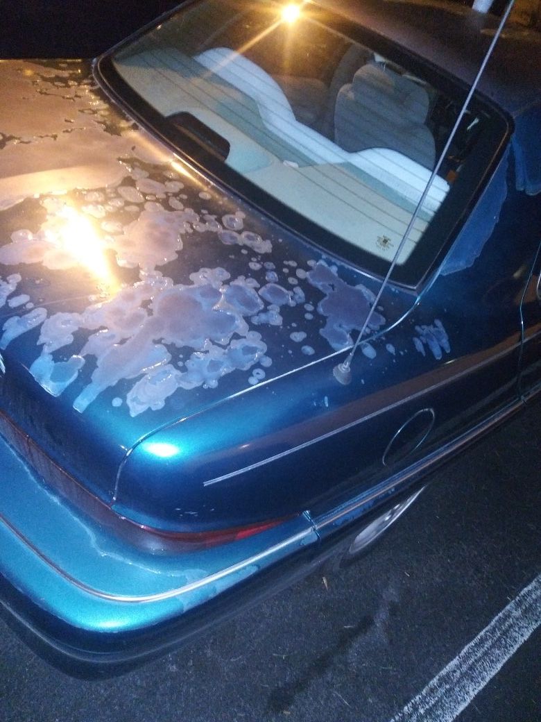 1997 buick skylark