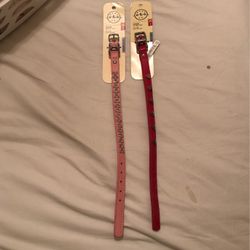 Bond Co  Dog Collar 