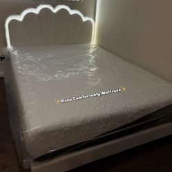 Memory foam mattress 12” inches Queen sizes In Plastic   Mattress only $240 Mattress with box spring $299 Delivery $30 All sizes available