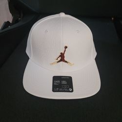 Air Jordan Pro Element Ingot Cap Snapback Hat White Gold Elephant DC3680 100