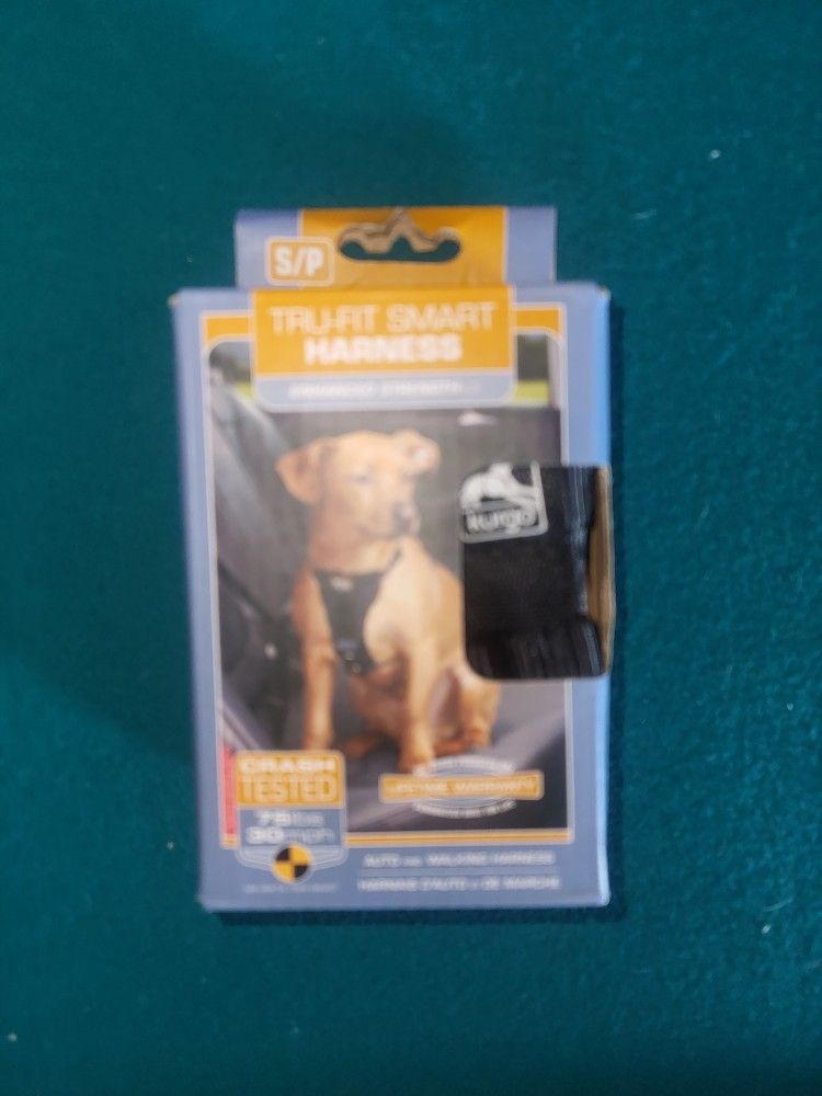 Harness And Seatbelt Tether