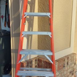 8' ft Werner ladder