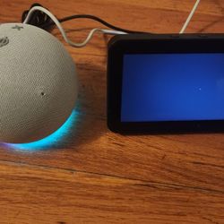 ECHO SHOW AND SPEAKER BALL