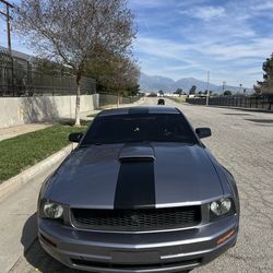 Ford Mustang gt 2006