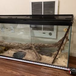 Reptile Enclosure And Accessories