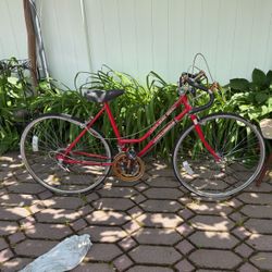 Bicycle For Parts