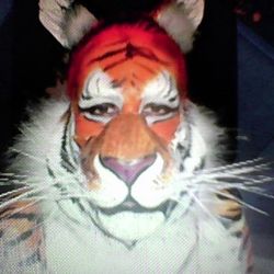 Medium / Large Tiger Stretchy Costume