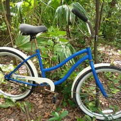Beach Cruiser 