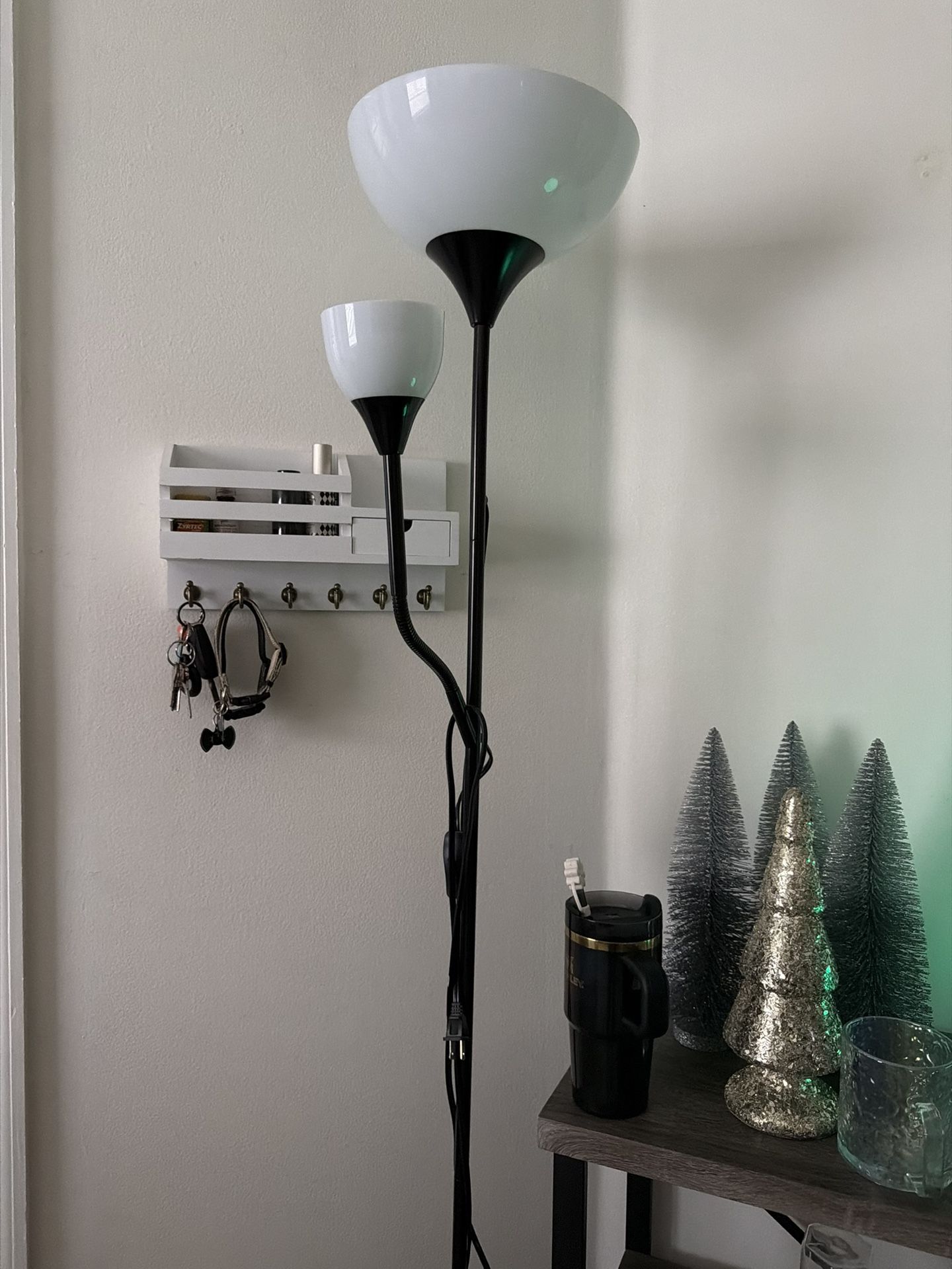 Floor Lamp with Dual Light Shades