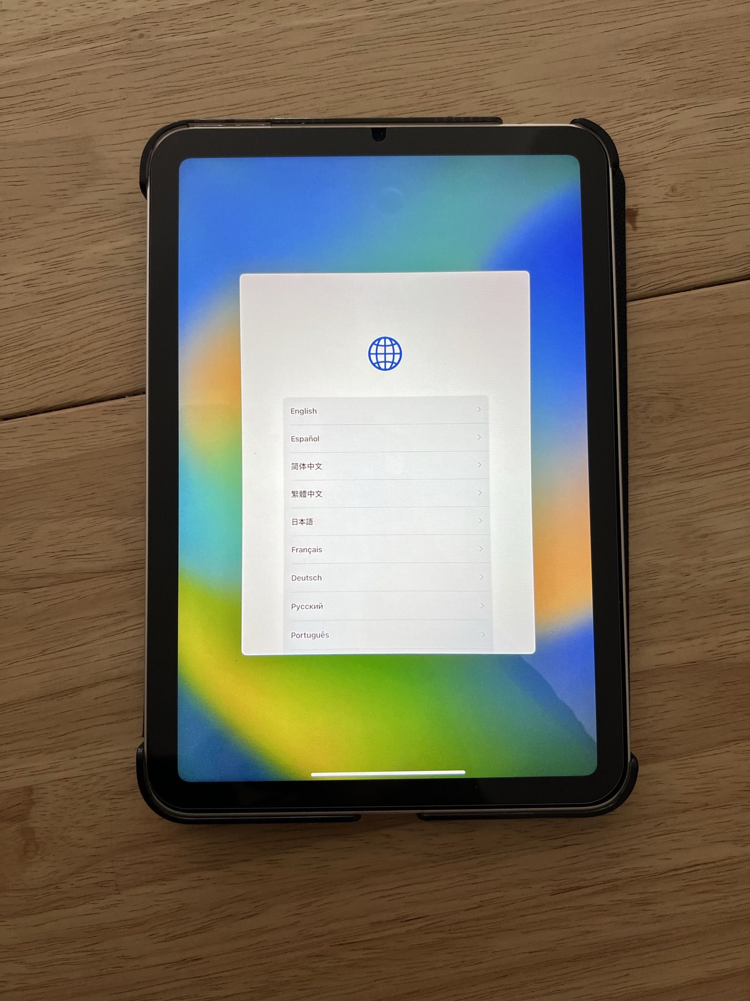 iPad Mini 6th Gen 256gb