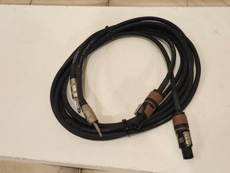 Two 10 ft Speakon to 1/4 TS 12 gauge Neutrik NL2FXX