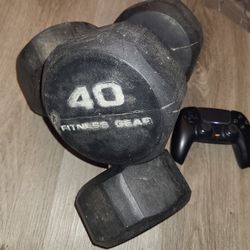Fitness Gear Dumbbells - 40lbs.