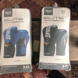 Everlast 16oz Boxing Gloves