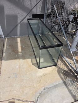Aquarium Tank  or Terrarium