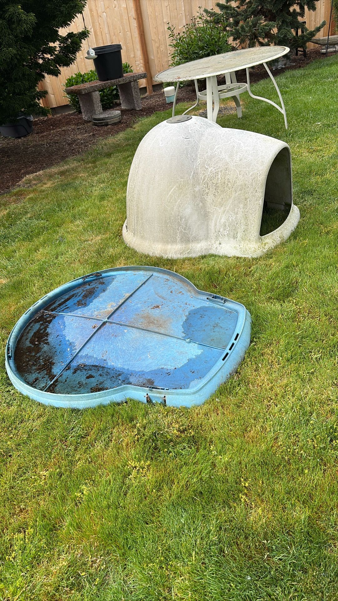 Igloo Dog House - Large - Free