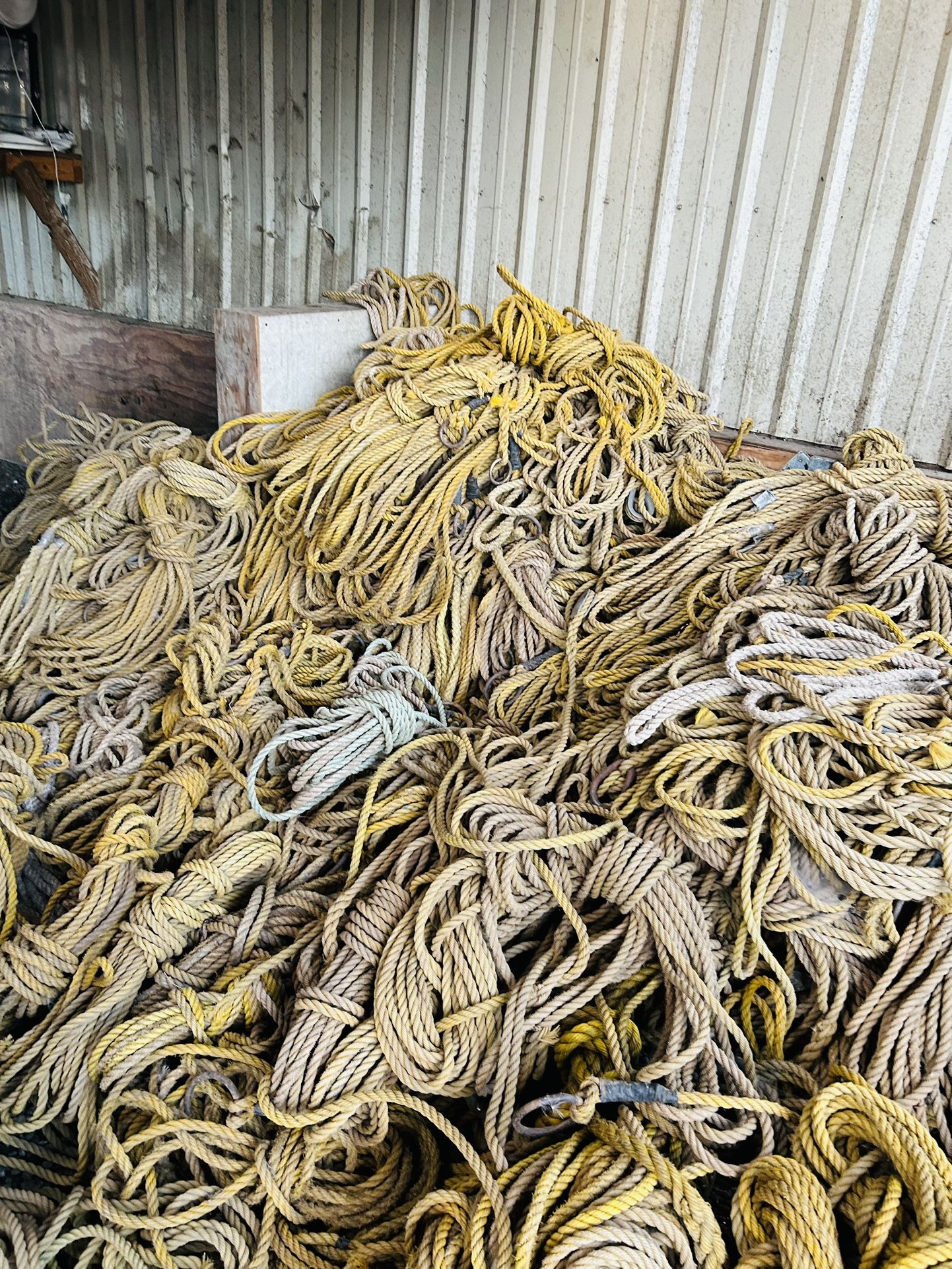 Soga para pinos de navidad 