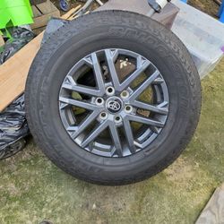 Rims 