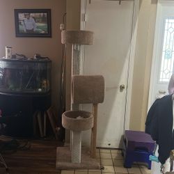 Cat Tree 