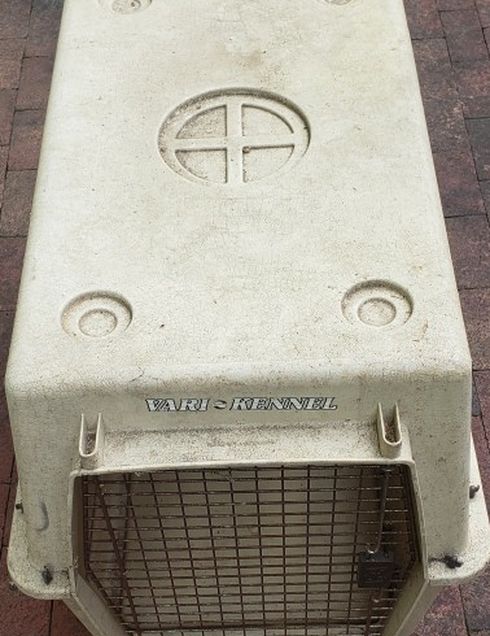 Dog Kennel