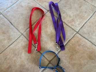 New Dog Items $5 For All