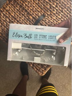 Mercury Innovations Edison Bulb LED String Lights – Open Box, Never Used
