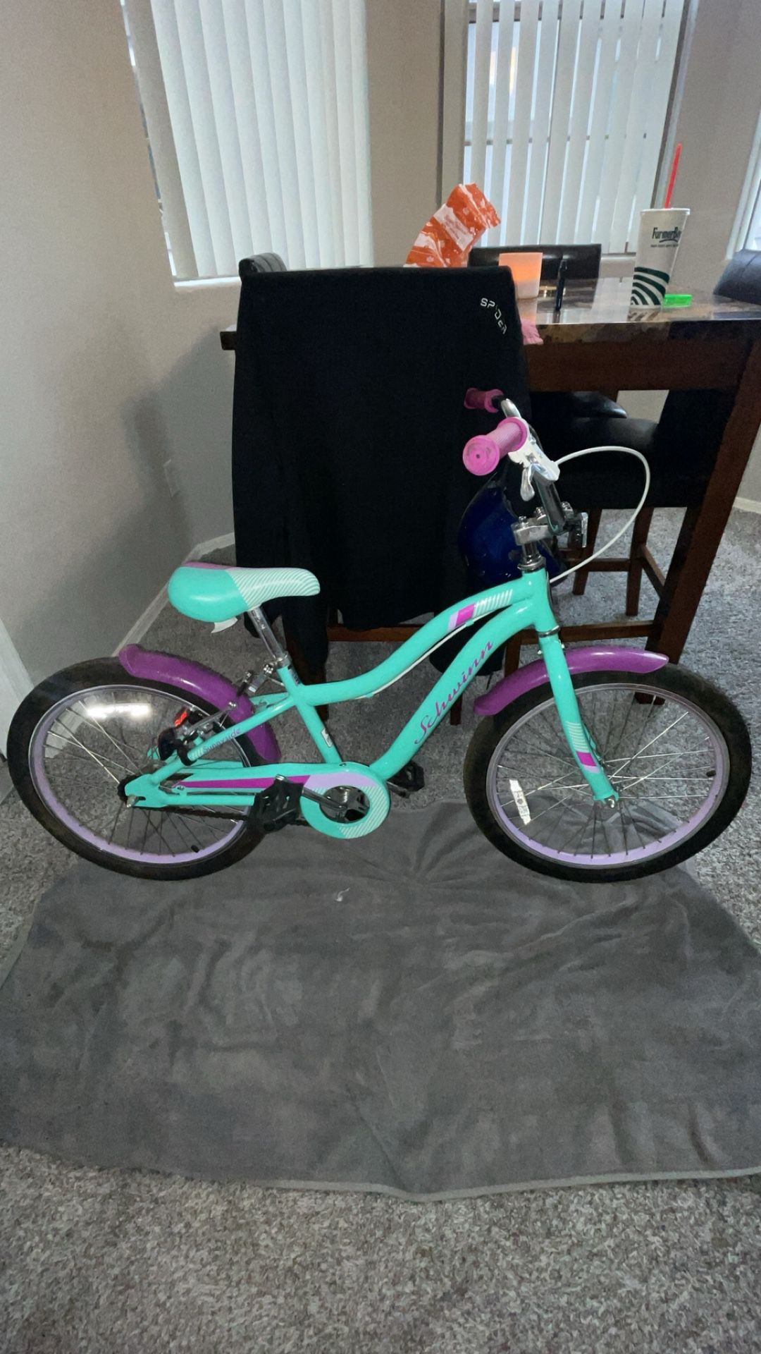 Girls Schwinn Bike 
