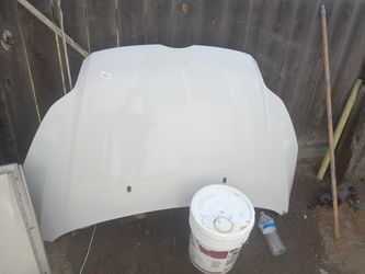 Ford Focus Hood.. OBO