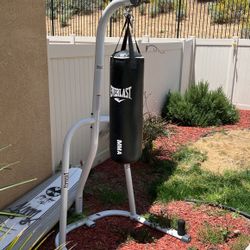 Everlast MMA Heavy Bag & Stand