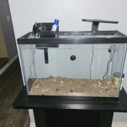 Fish Tank, Light Filter System Decorations Rocks 