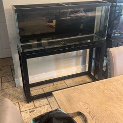 55 Gallon Aquarium/Reptile w/  New Metal Stand