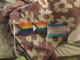 Pride flags