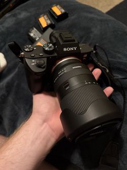 Sony Alpha A7iii with Tamron 28-200mm Lens