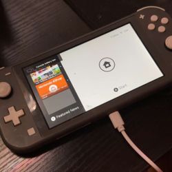 Nintendo Switch Light