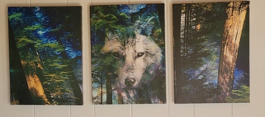 3 Piece Wolf Picture