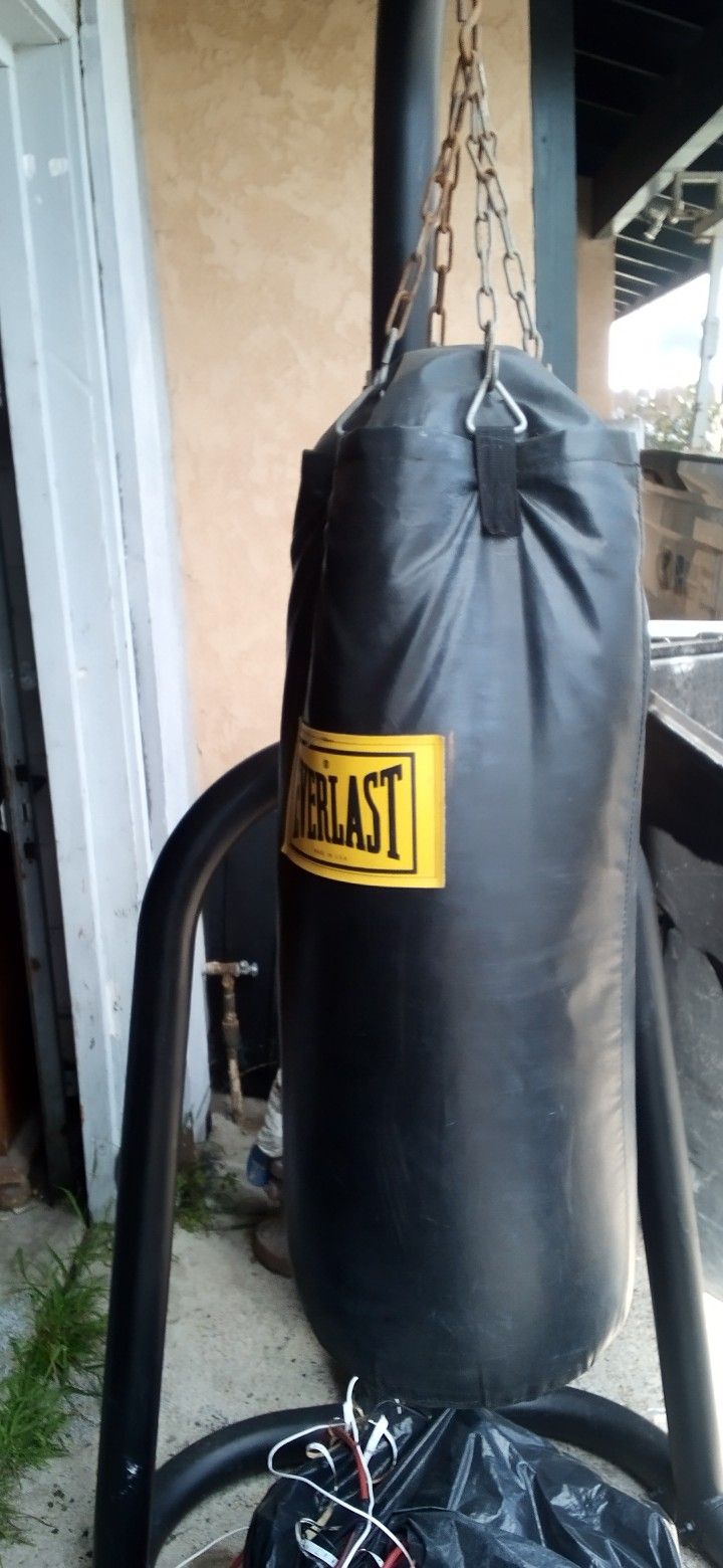 Everlast Punching Bag