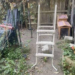 Pool Ladder