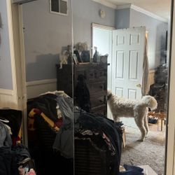 Mirrored Glass Sliding Closet Doors 