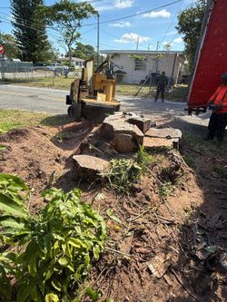 Stumps Grinding