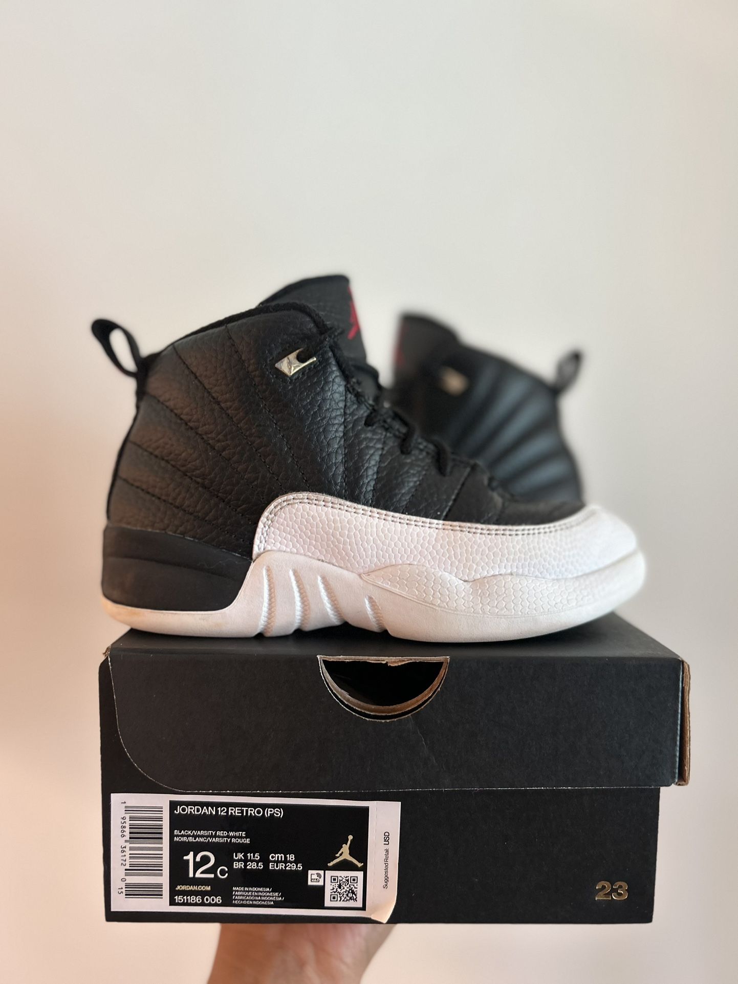 Jordan Retro 12 Payoffs PS