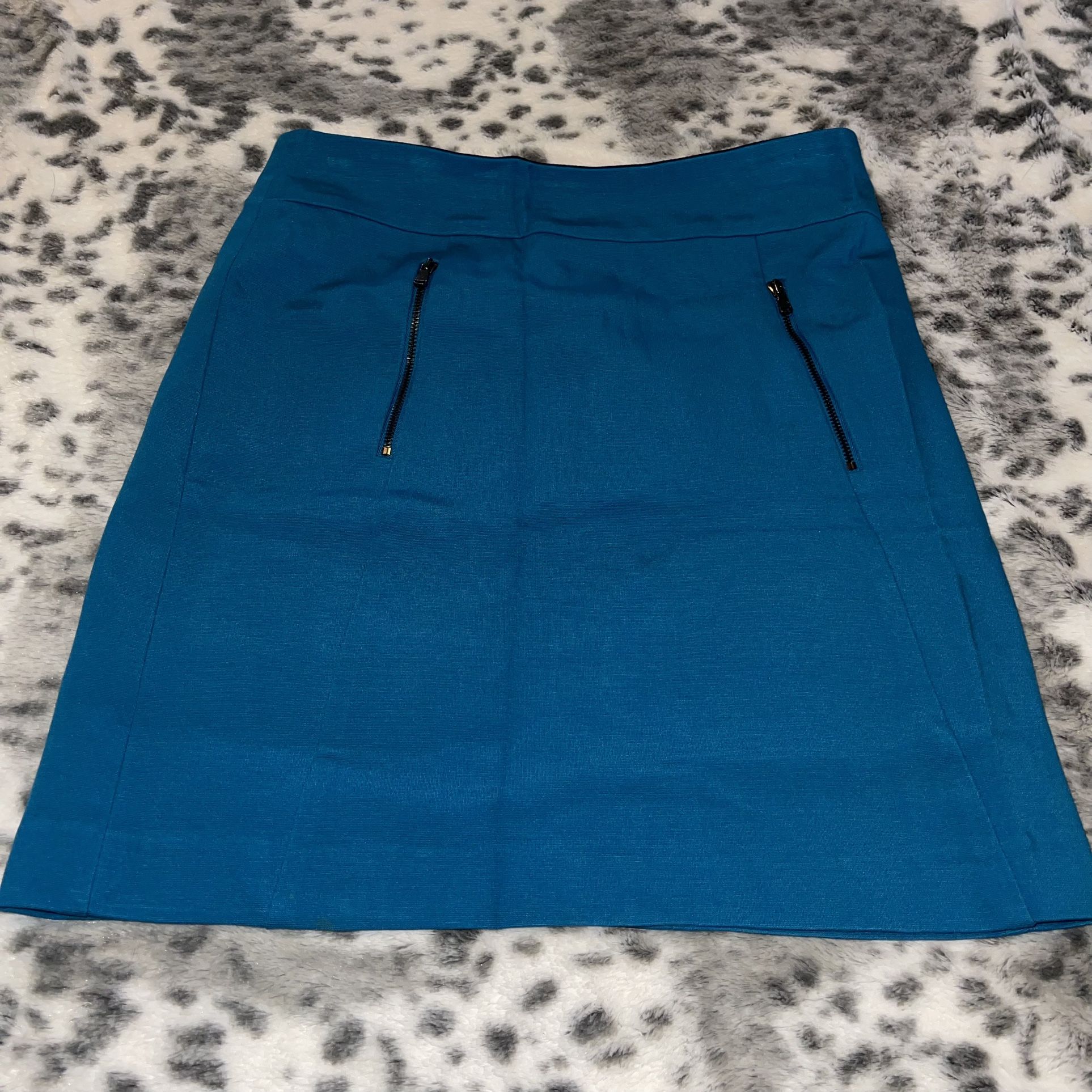 Ann Taylor Skirt