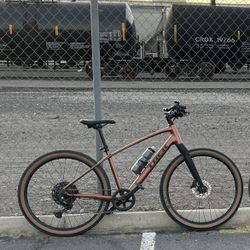 Trek Bike  Dual Sport 3 Gen 5