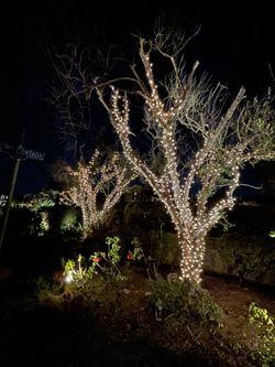 Christmas Lights Instal
