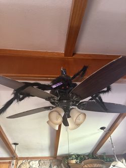 New🕷️Haunted Living 50-in Spider Free Standing Decoration Centerpiece