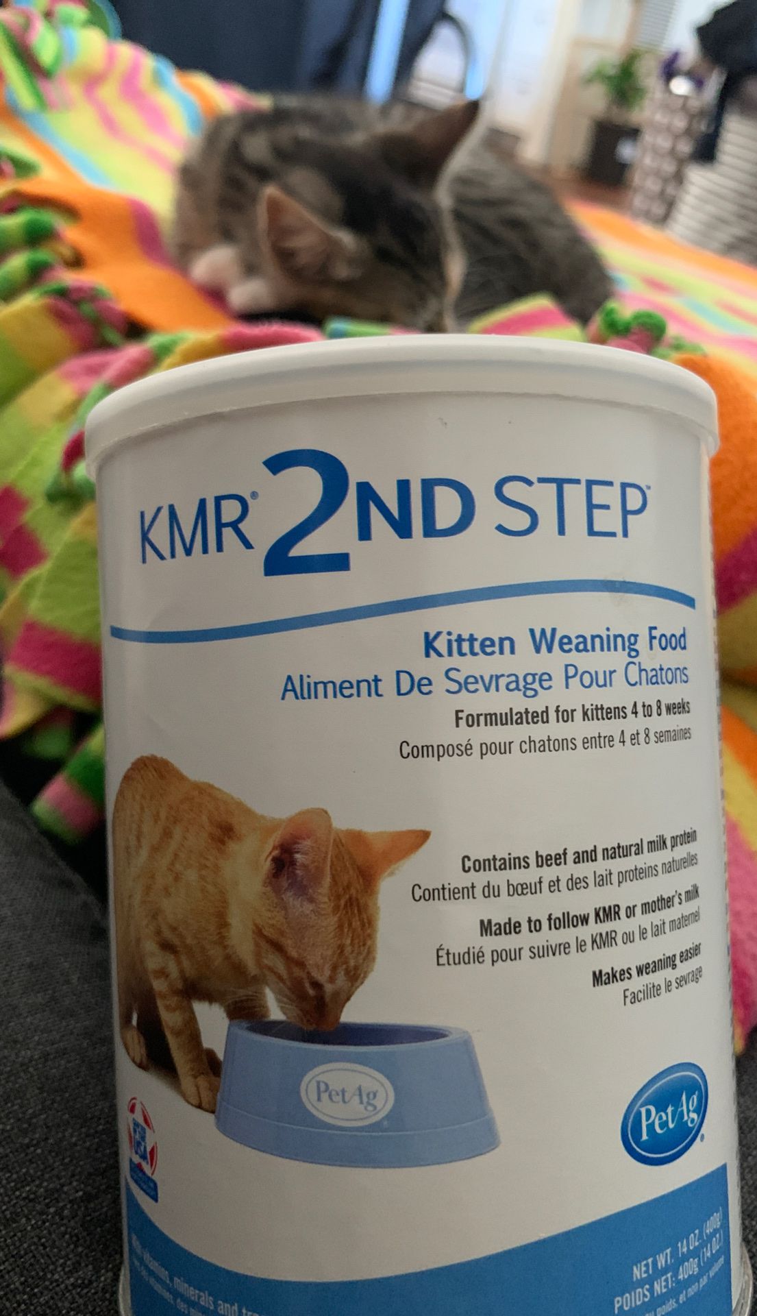 KMR 2nd Step Kitten weaning food.