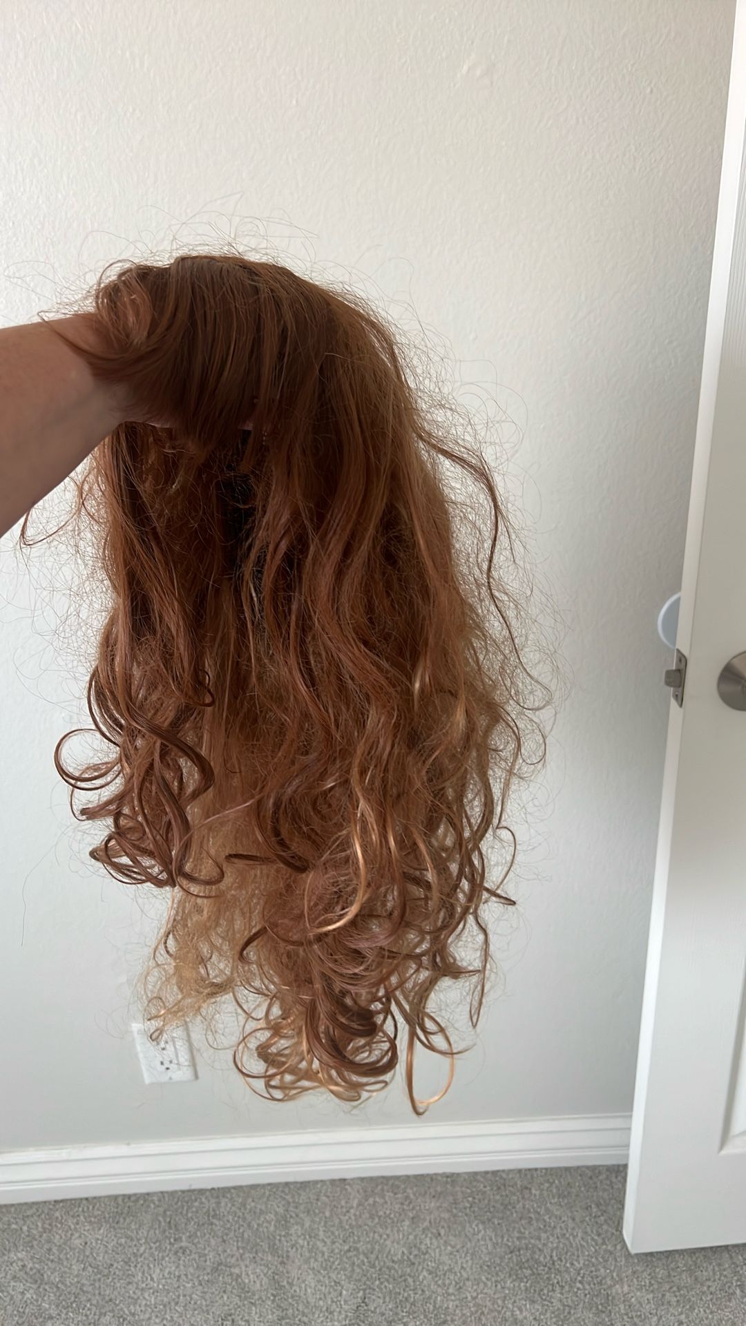 Long Wig (used For Costume)