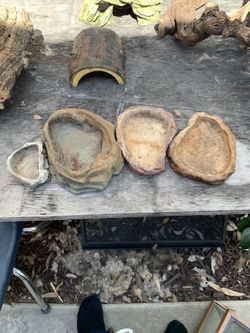Reptile water dish