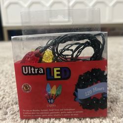 Christmas Battery Operated Lights 