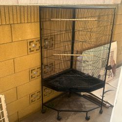 Bird Cage